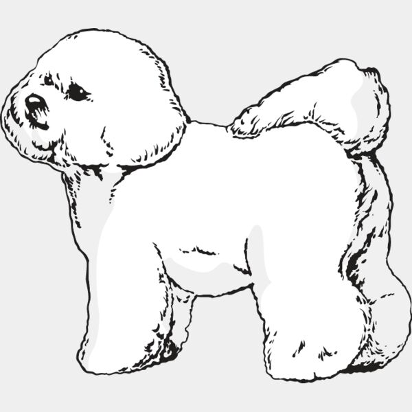 Bichon Frise1 Thumbnail