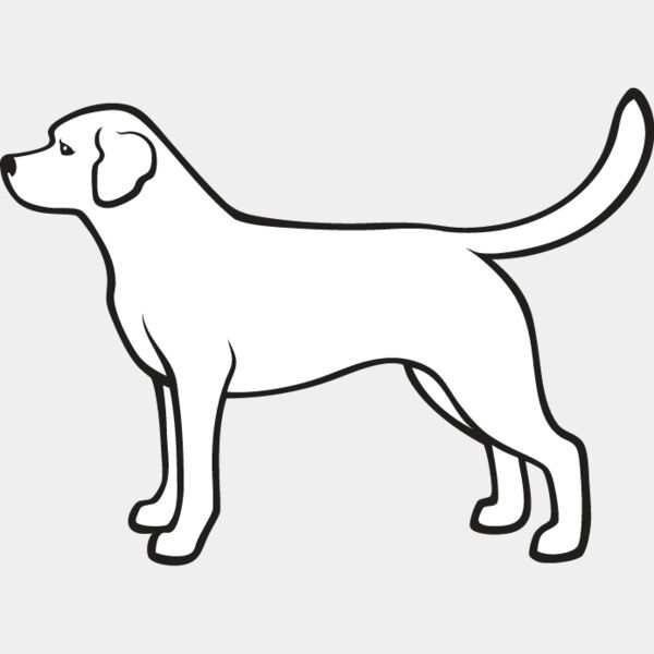 Labrador Retriever1 Thumbnail