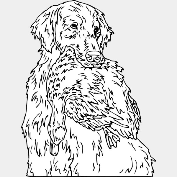 Golden Retriever2 Thumbnail