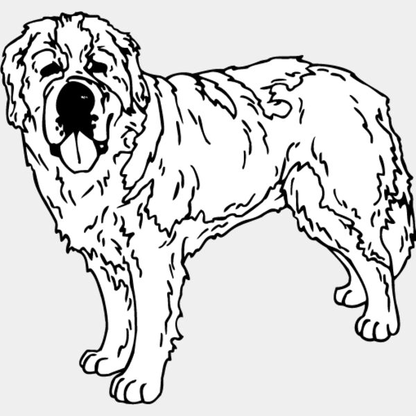 Saint Bernard Thumbnail