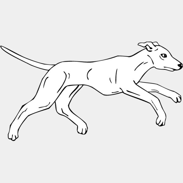 Whippet2 Thumbnail