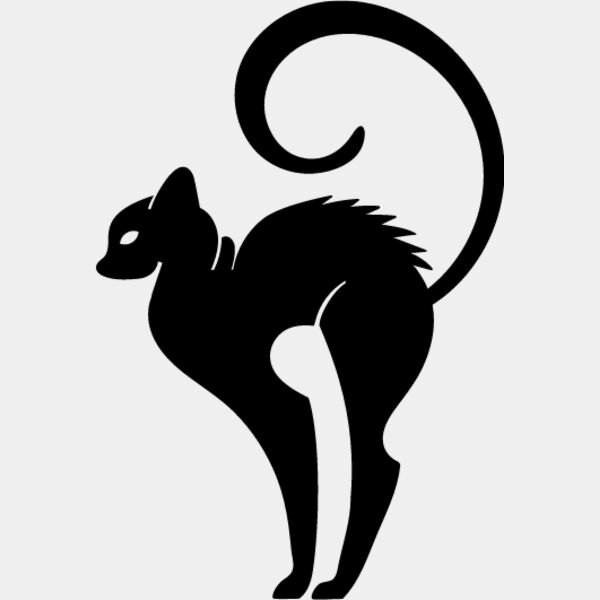 Elegant Cat4 Thumbnail