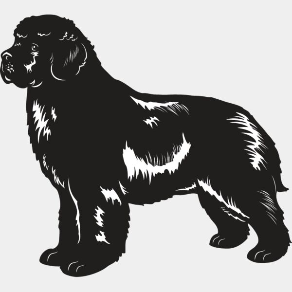 Newfoundland Thumbnail