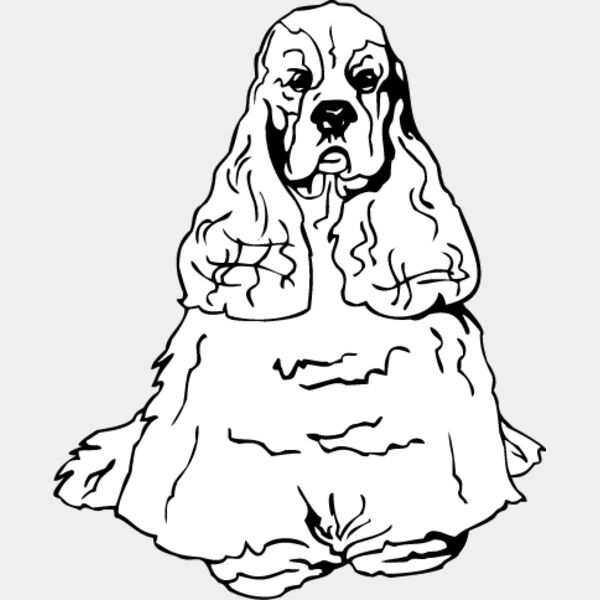 Cocker Spaniel1 Thumbnail