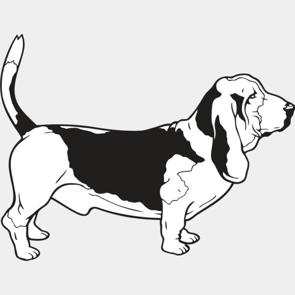 Basset Hound Thumbnail
