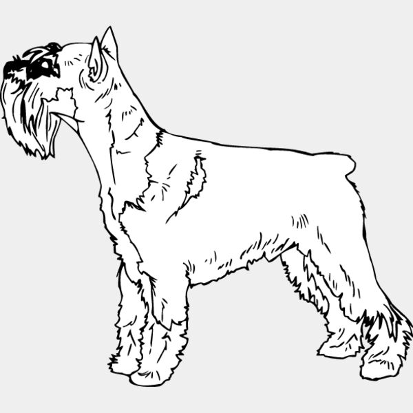 Standard Terrier Thumbnail