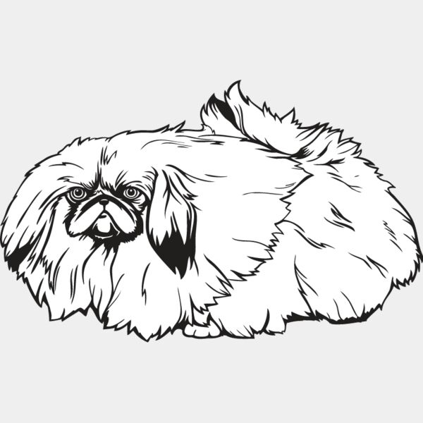 Pekingese Thumbnail
