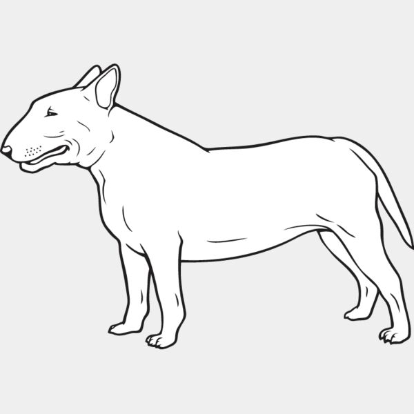 Bull Terrier2 Thumbnail
