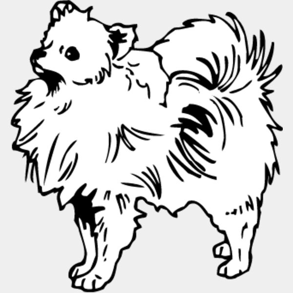Pomeranian2 Thumbnail