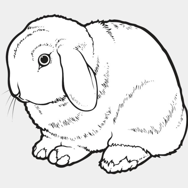 Rabbit6 Thumbnail