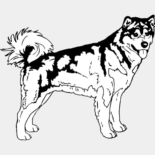 Malamute2 Thumbnail