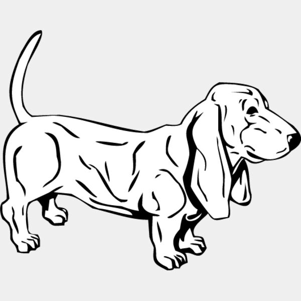 Dachshund5 Thumbnail