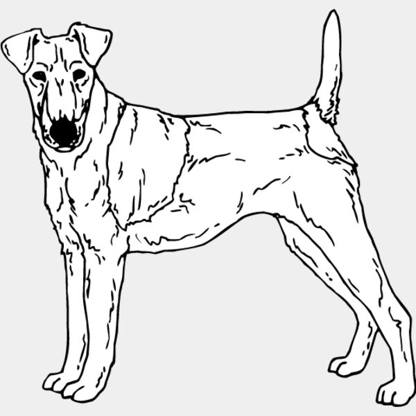 Fox Terrier Thumbnail