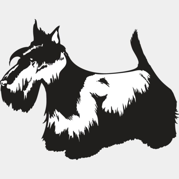 Scottish Terrier2 Thumbnail