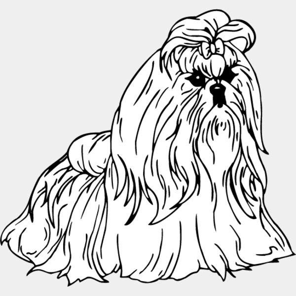 Shih Tzu2 Thumbnail
