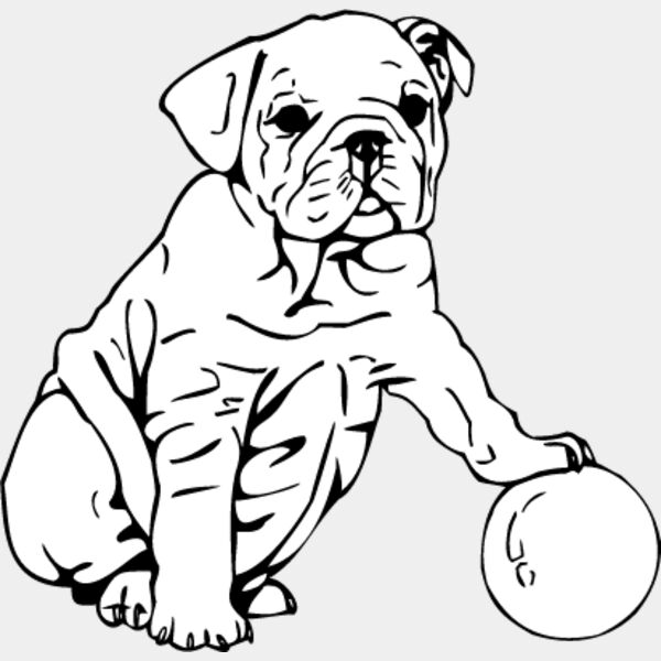 Bulldog Puppy Thumbnail