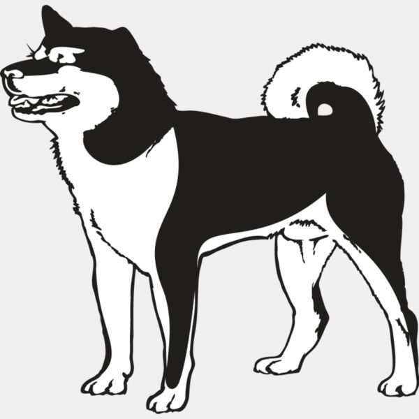 Shiba Inu2 Thumbnail