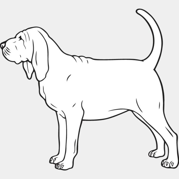 Bloodhound2 Thumbnail