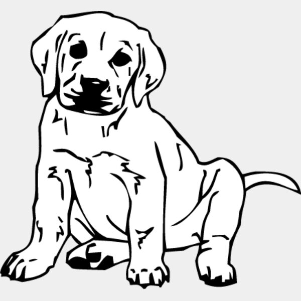 Labrador Puppy Thumbnail