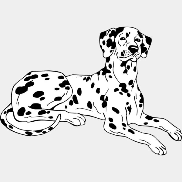 Dalmation2 Thumbnail