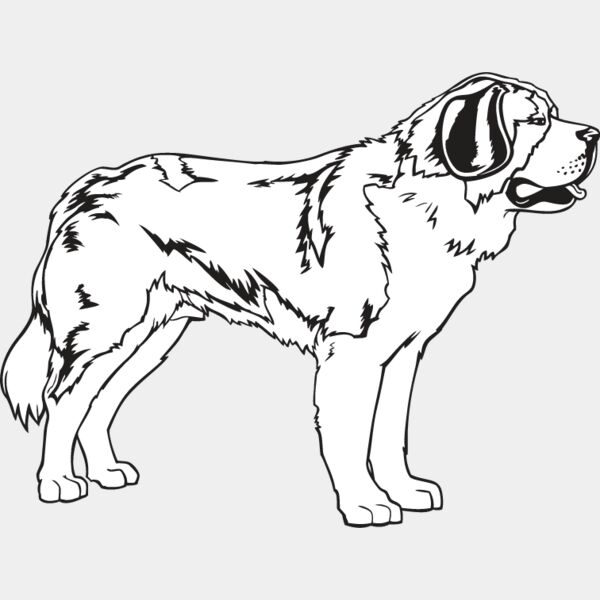 St  Bernard Thumbnail