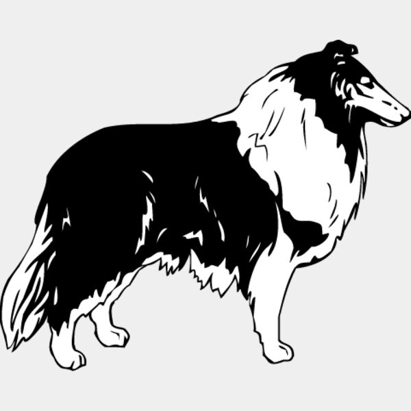 Collie1 Thumbnail