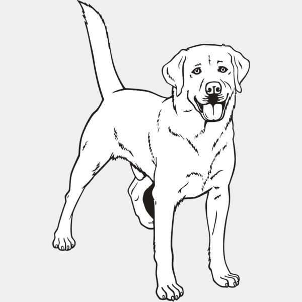 Labrador Retriever2 Thumbnail