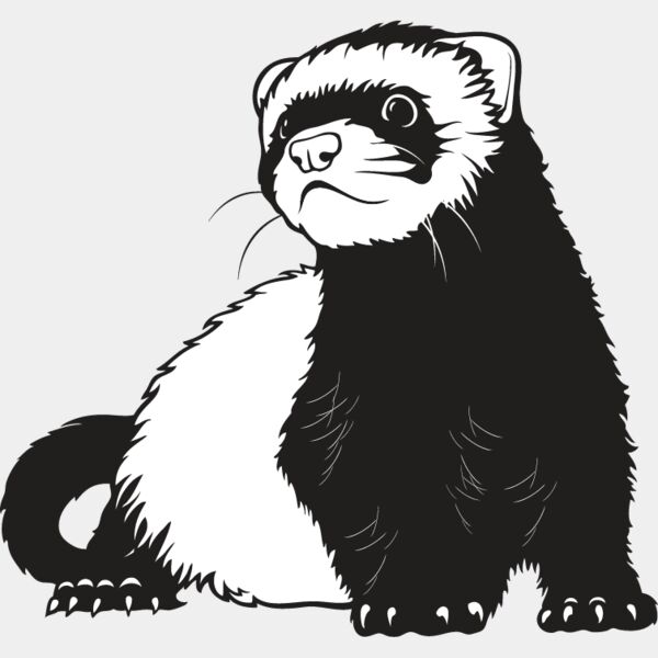 Ferret3 Thumbnail