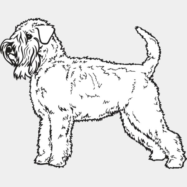 Wheaton Terrier Thumbnail
