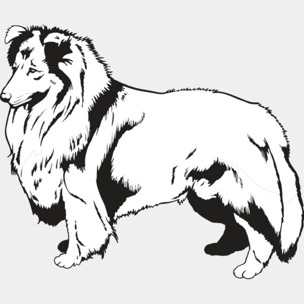 Shetland Sheepdog2 Thumbnail