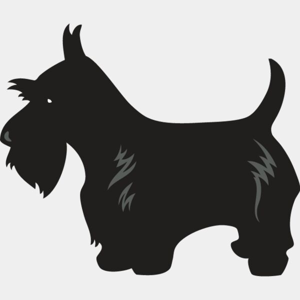 Scottish Terrier4 Thumbnail