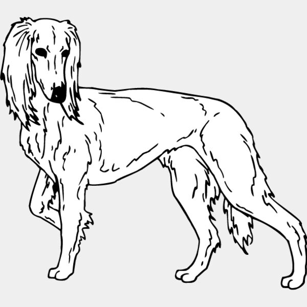 Saluki Thumbnail