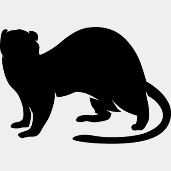 Ferret1 Thumbnail
