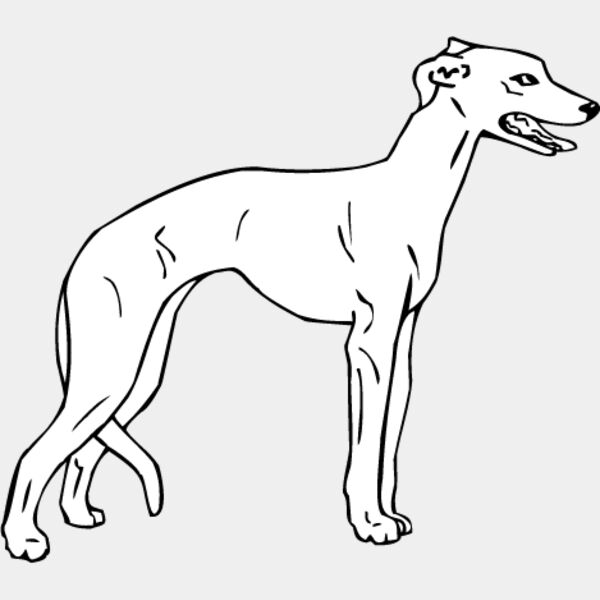 Whippet1 Thumbnail