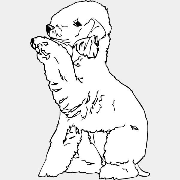 Bedlington Terrier Thumbnail