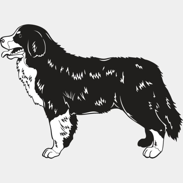 Bernese Mountain Dog2 Thumbnail