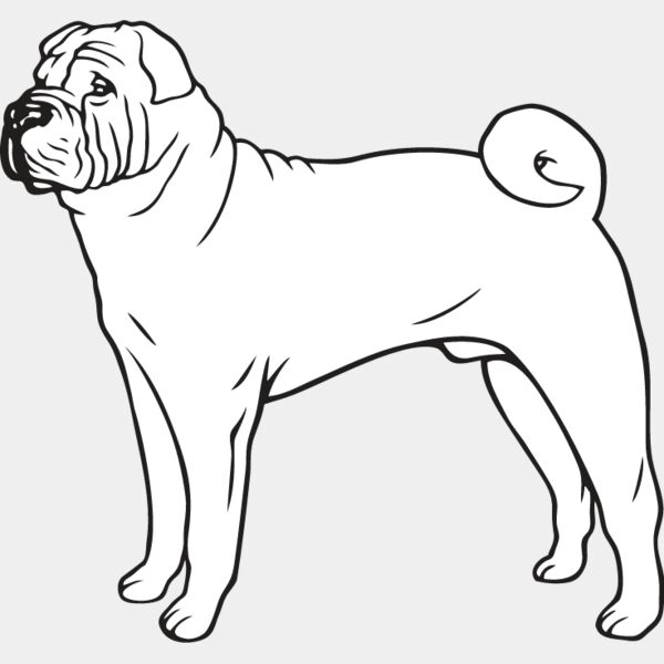 Shar Pei3 Thumbnail