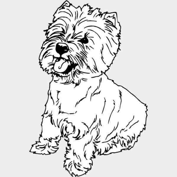 Highland Terrier1 Thumbnail