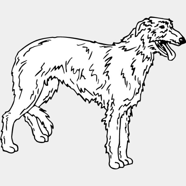 Scottish Deer Hound Thumbnail