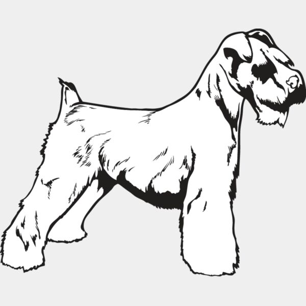 Miniature Schnauzer Thumbnail