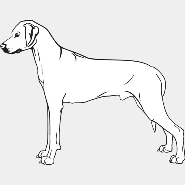 Rhodesian Ridgeback Thumbnail