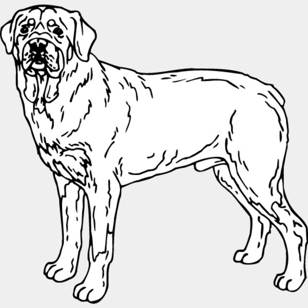 Rottweiler1 Thumbnail