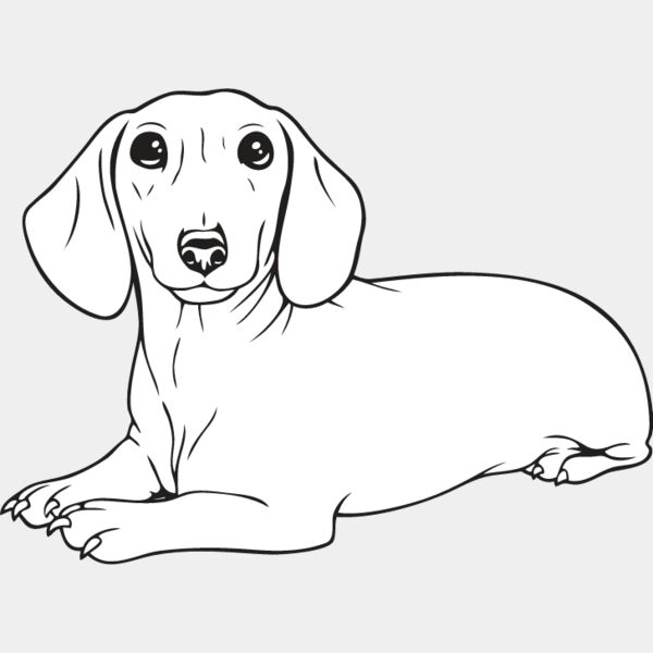 Dachshund3 Thumbnail