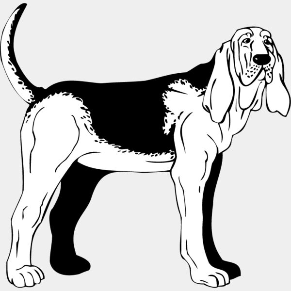 Bloodhound1 Thumbnail