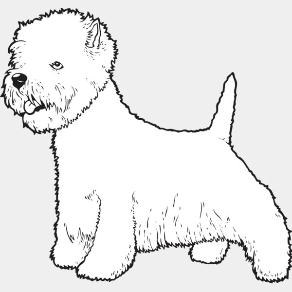 Highland Terrier2 Thumbnail