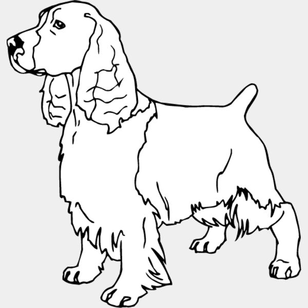 Cocker Spaniel3 Thumbnail