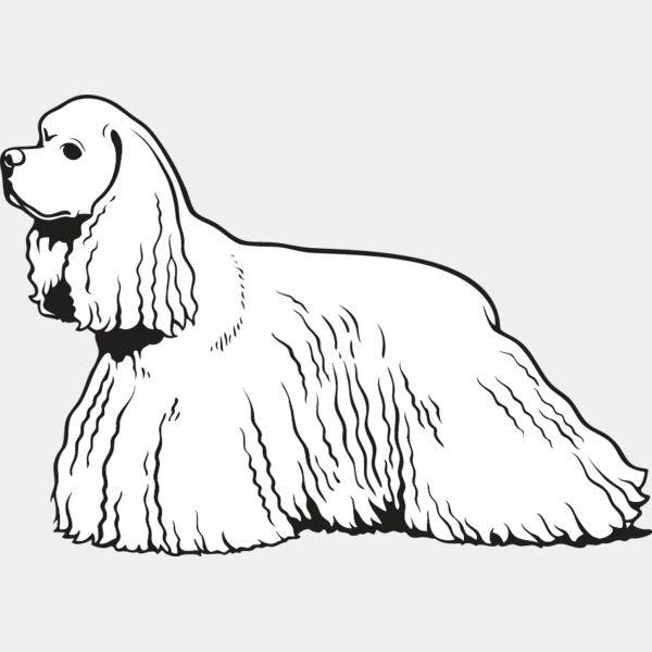 King Charles Spaniel4 Thumbnail