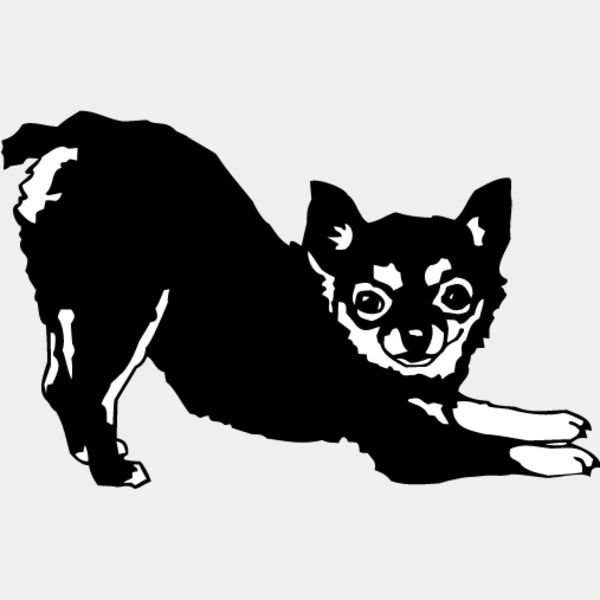 Chihuahua3 Thumbnail