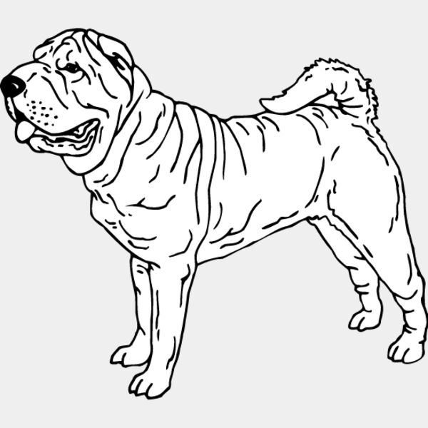 Shar Pei1 Thumbnail