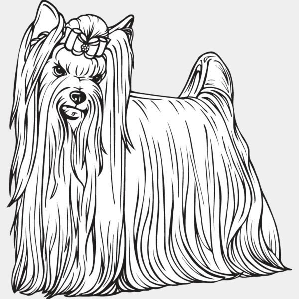 Yorkshire Terrier2 Thumbnail